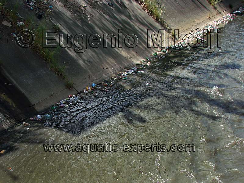 rio guaire